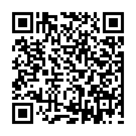 QR code for SVV3394