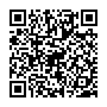 QR code for SWS2995