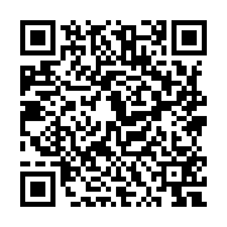 QR code for SXI9533