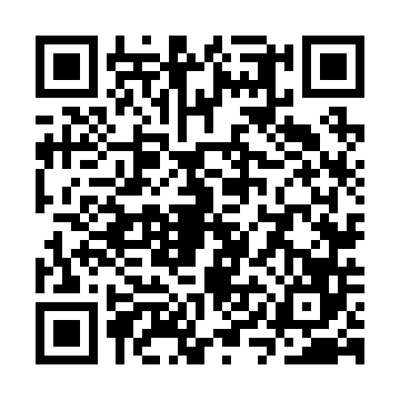 QR code for SYN2466