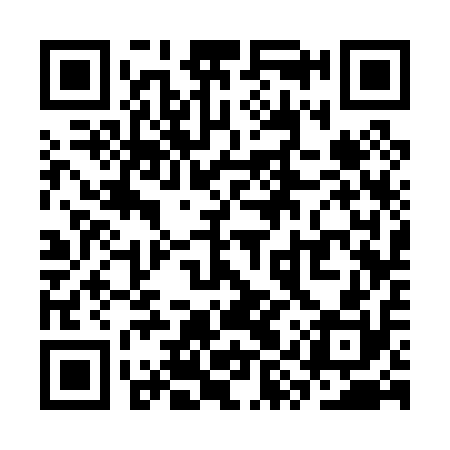 QR code for SYS010