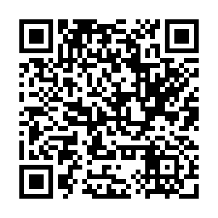 QR code for SYZ333