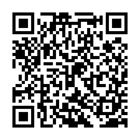 QR code for TDG541