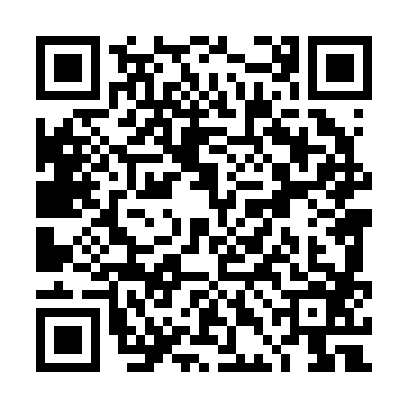 QR code for TDL2863