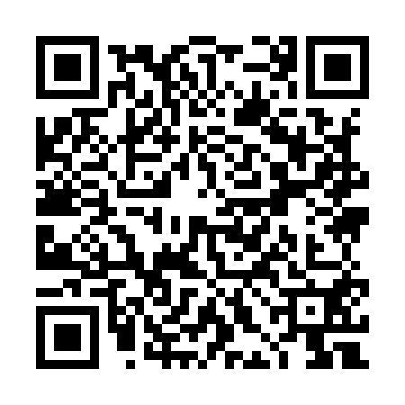QR code for THI9509