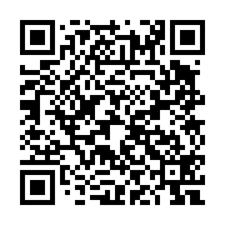QR code for TIC419