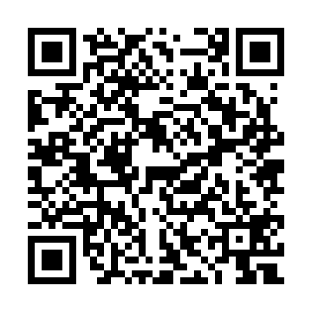 QR code for TIZ2191