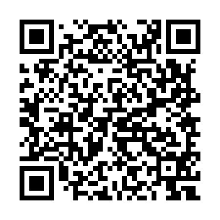 QR code for TIZ994