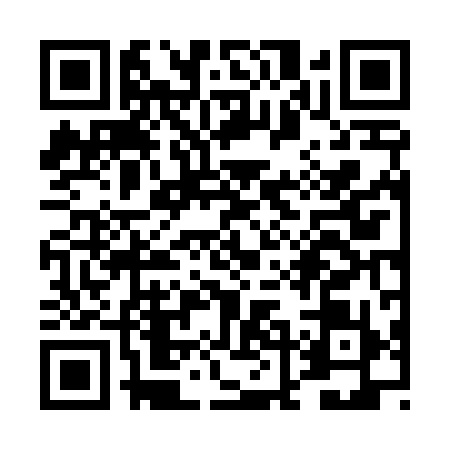 QR code for TLF4991