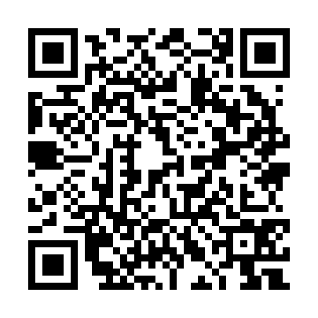 QR code for TLI2743