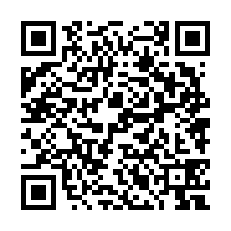 QR code for TMN6383