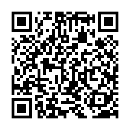 QR code for TMR029