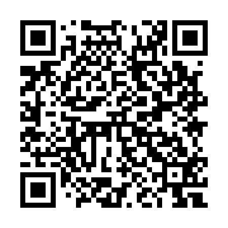 QR code for TNI113