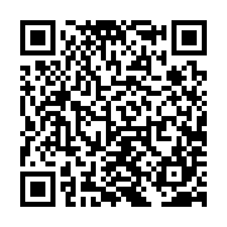 QR code for TNT384