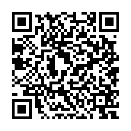QR code for TON0667