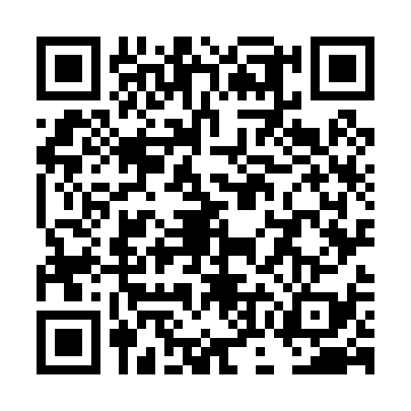 QR code for TOO0398