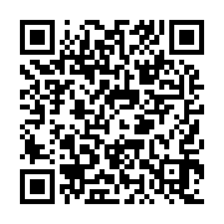 QR code for TOP913