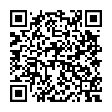 QR code for TPI011