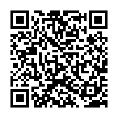 QR code for TPL291
