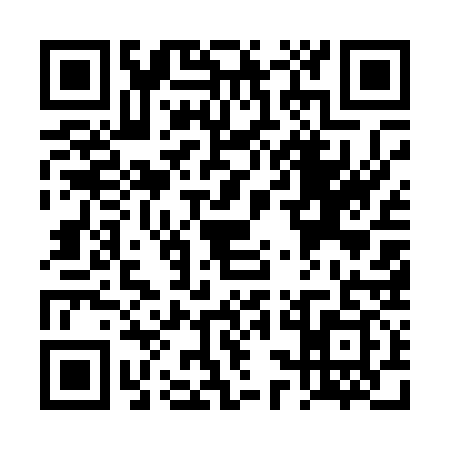 QR code for TSE0390