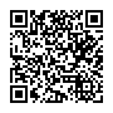 QR code for TZI596