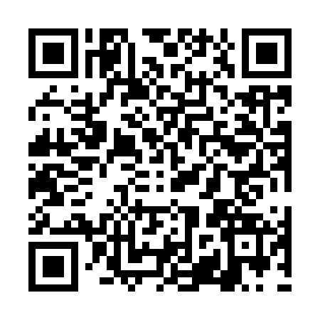 QR code for TZX9638