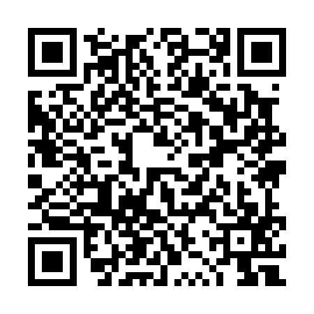 QR code for TZY0977