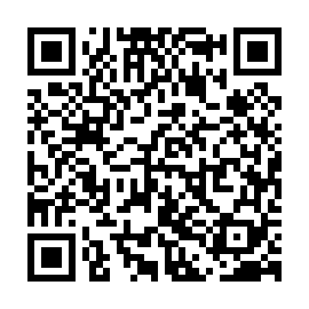 QR code for UDE069