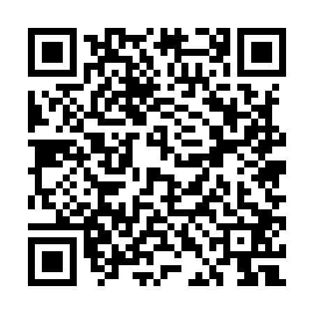 QR code for UDE9029