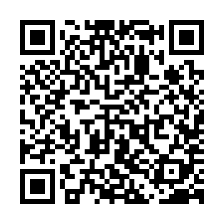 QR code for UDF389