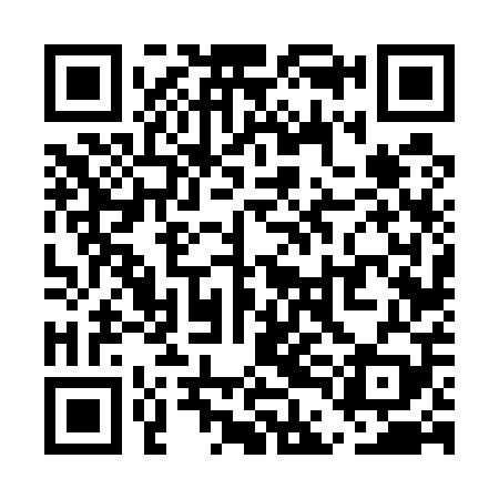 QR code for UDF509