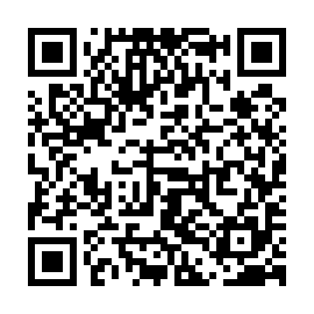 QR code for UDG595