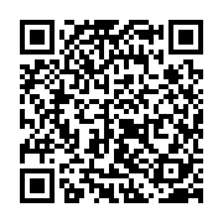 QR code for UDI328