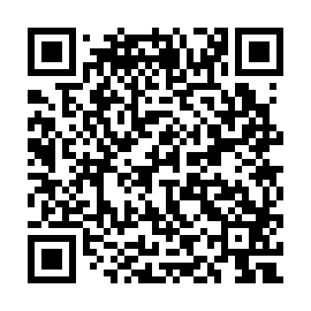 QR code for UIS383