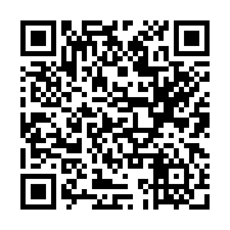 QR code for UKZ384