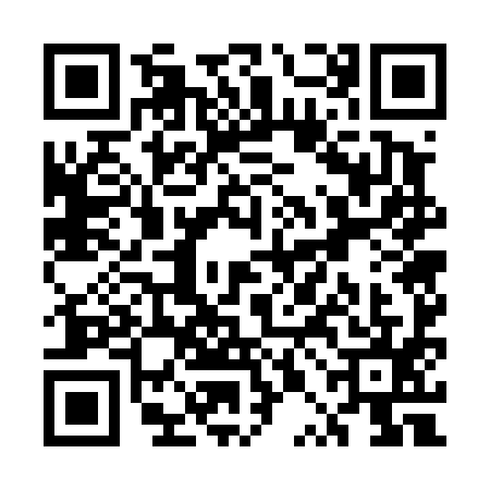 QR code for UPG4955