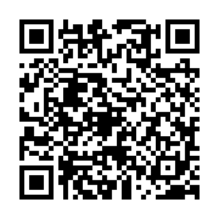 QR code for UPZ2911