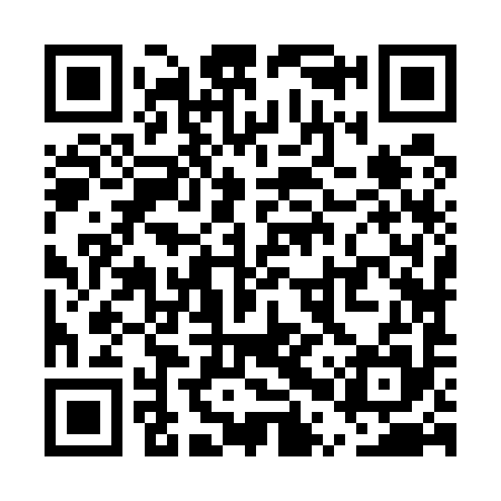 QR code for UPZ595