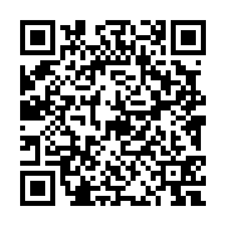 QR code for VBL0313