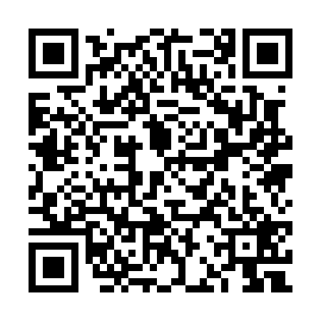 QR code for VBQ0295