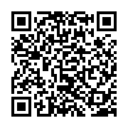 QR code for VDG939