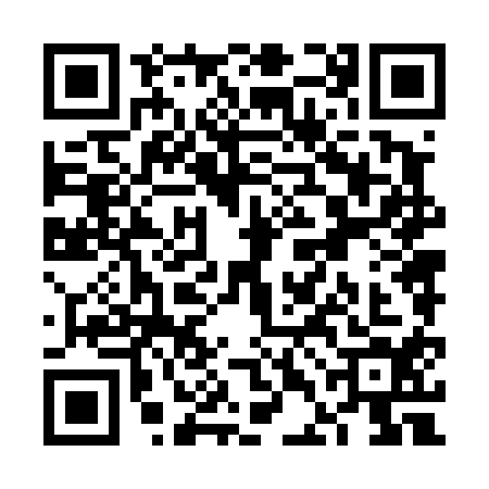 QR code for VDN4141