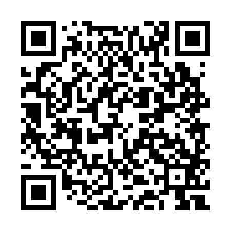 QR code for VDP383