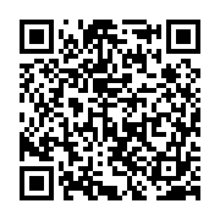 QR code for VFM173