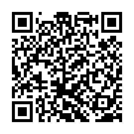 QR code for VFS419