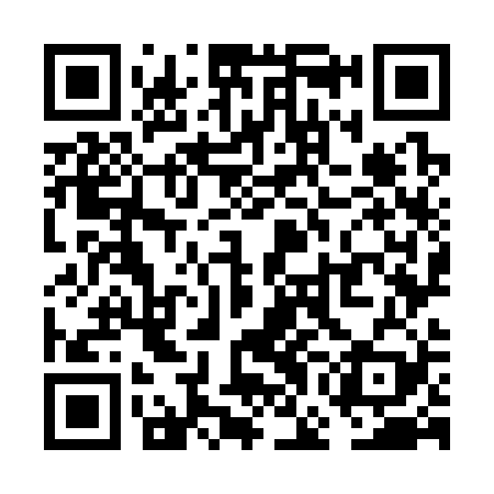 QR code for VGO329
