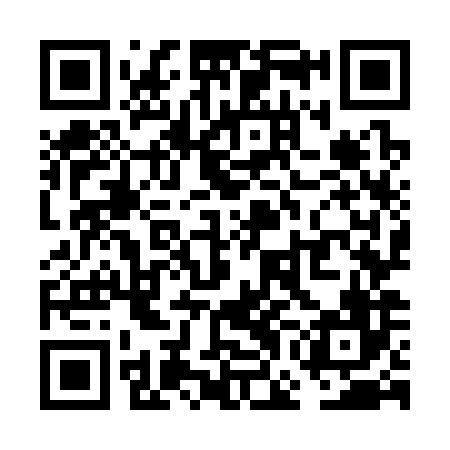 QR code for VGO386