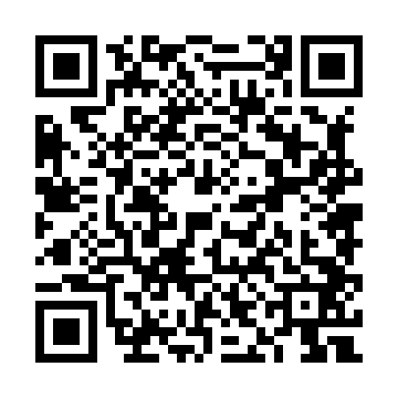 QR code for VIN8420