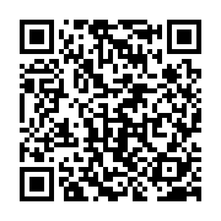 QR code for VIO328