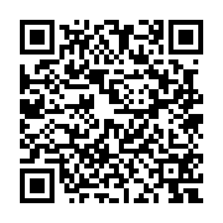 QR code for VJK0541
